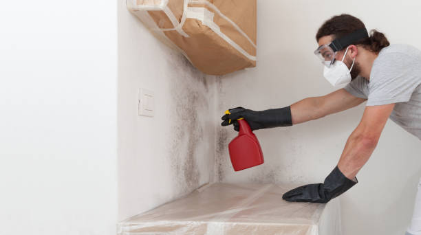 Professional Crawl Space Mold Remediation technician working in Fallston, MD